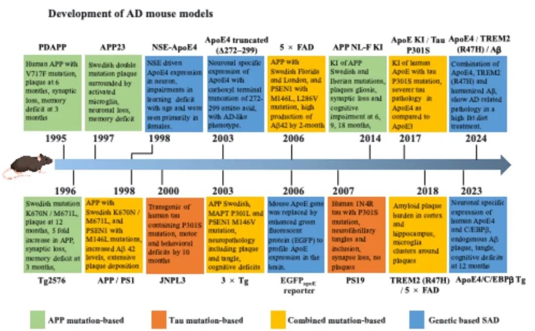 葉克強團隊：阿爾茨海默病小鼠模型轉化研究存在巨大挑戰